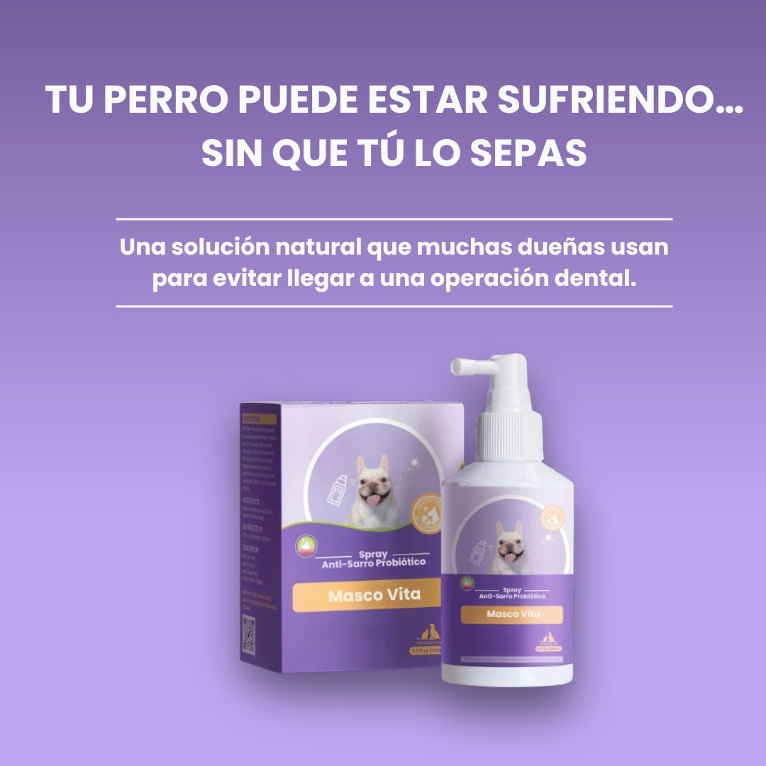 Spray Anti - Sarro Probiótico - Masco Vita